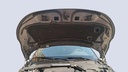 CAR HOOD