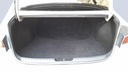 TRUNK