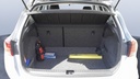 TRUNK