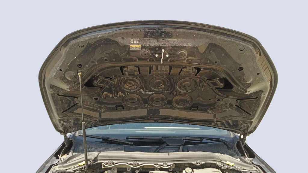 CAR HOOD