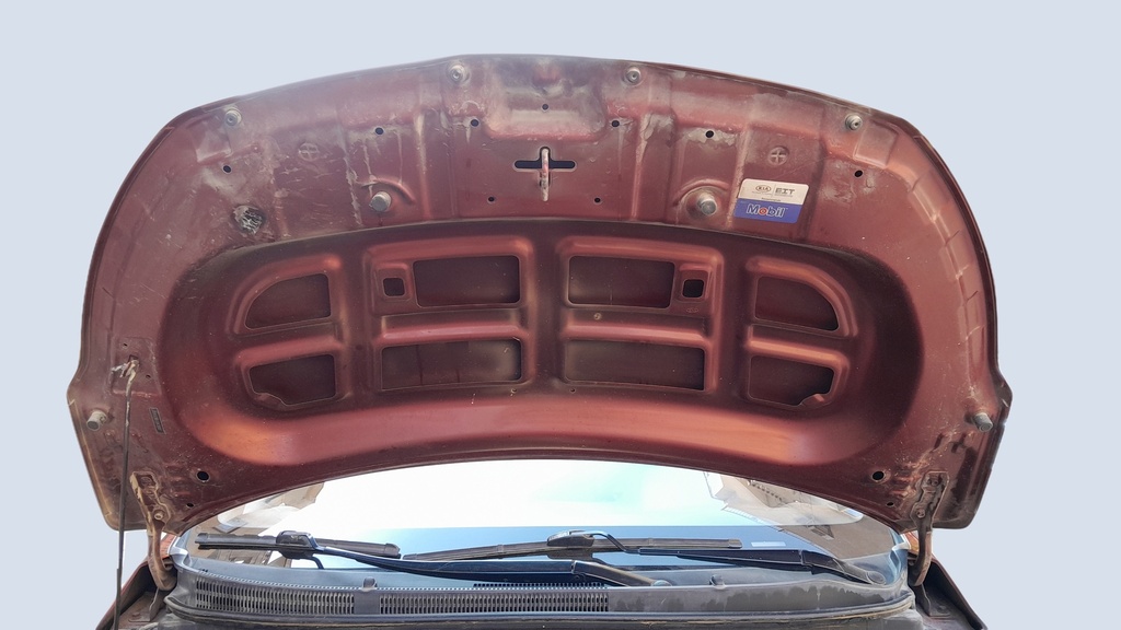 CAR HOOD