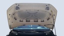 CAR HOOD