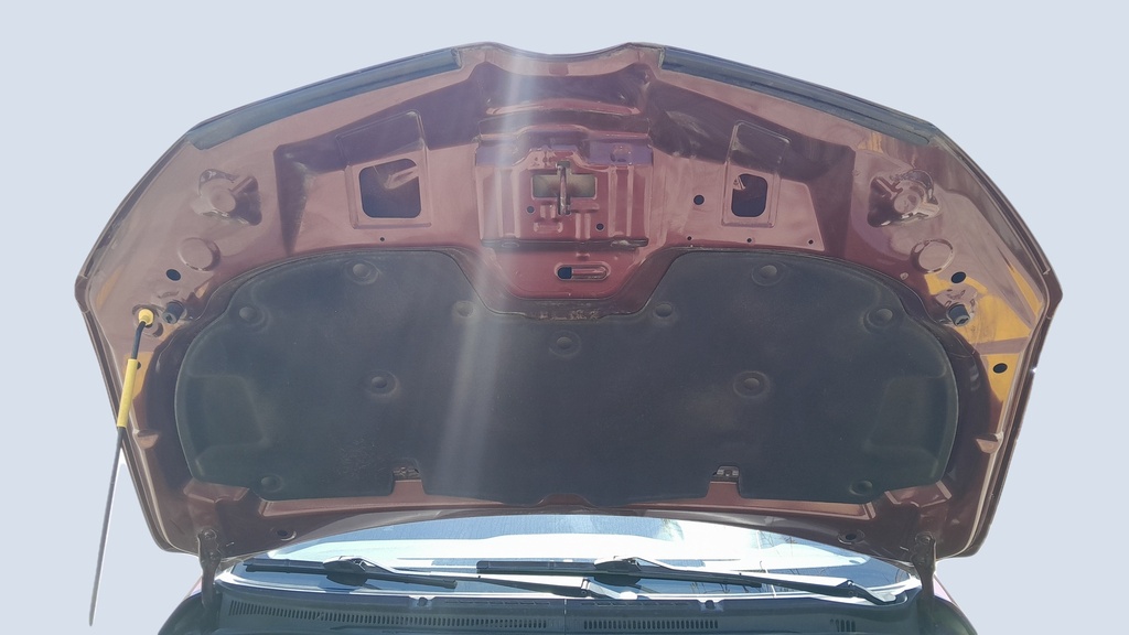 CAR HOOD