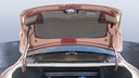 TRUNK HOOD