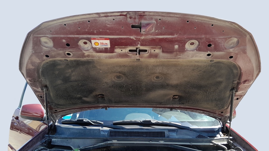 CAR HOOD