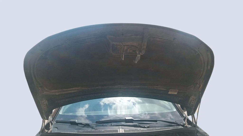 CAR HOOD