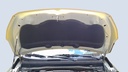 CAR HOOD