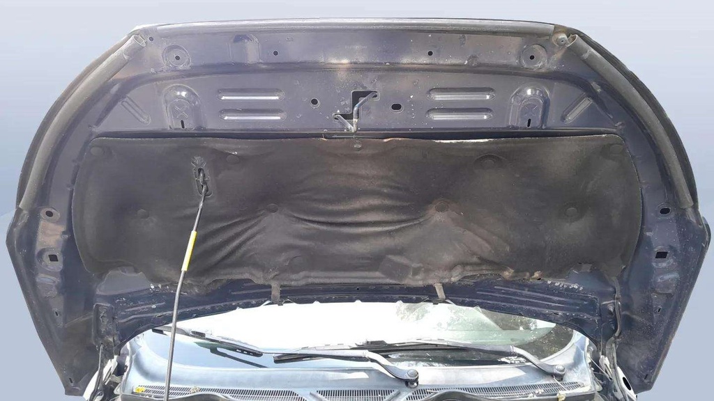 CAR HOOD
