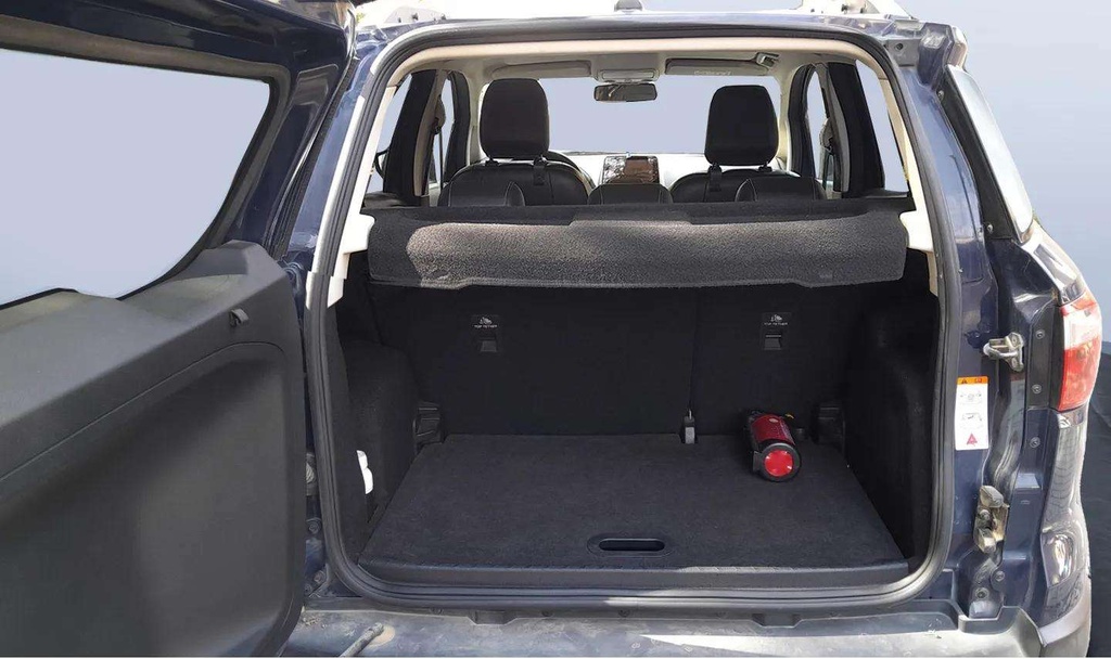 TRUNK
