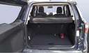 TRUNK
