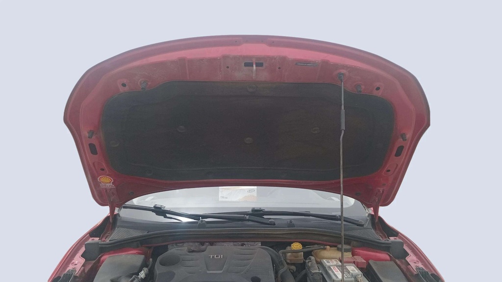 CAR HOOD