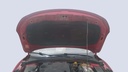 CAR HOOD