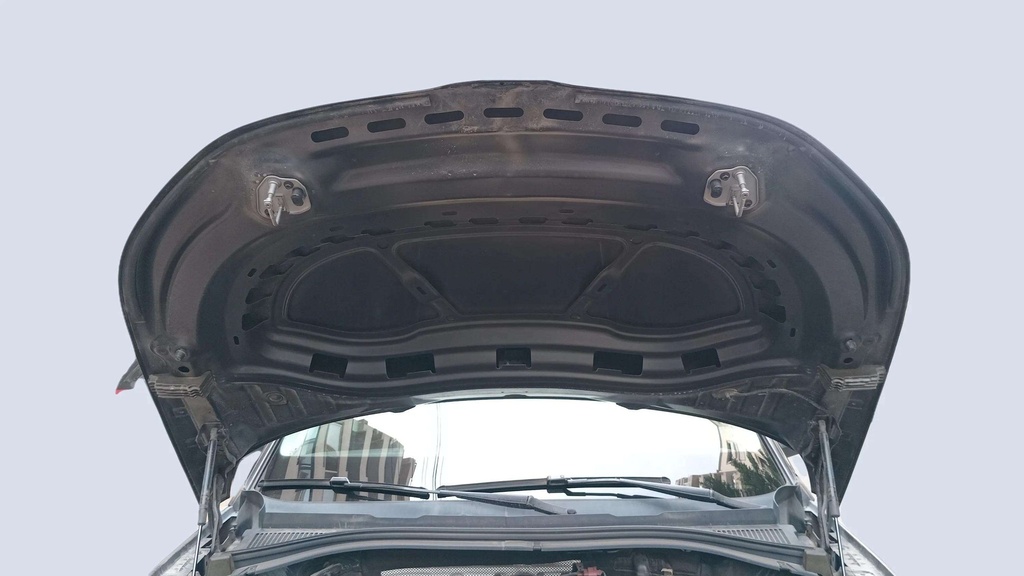 CAR HOOD