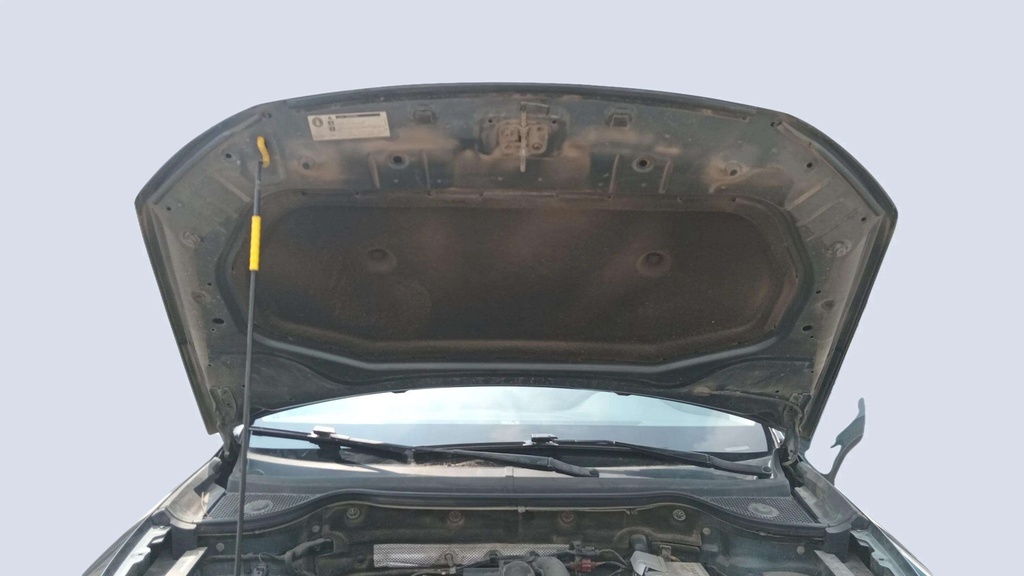 CAR HOOD