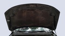 CAR HOOD