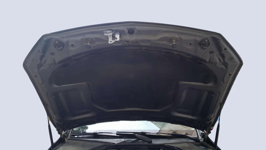 CAR HOOD