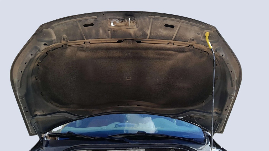 CAR HOOD