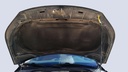 CAR HOOD