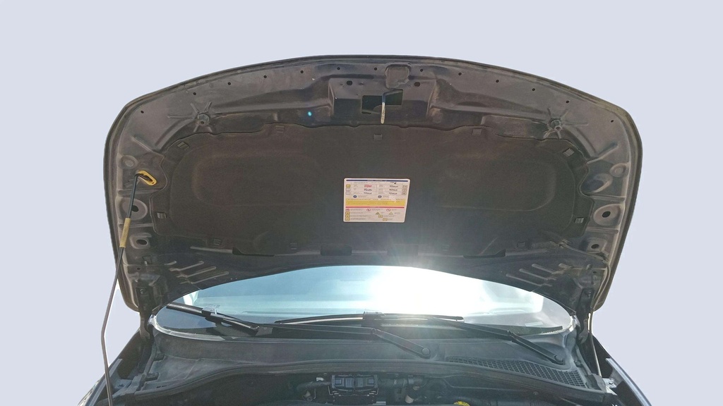 CAR HOOD