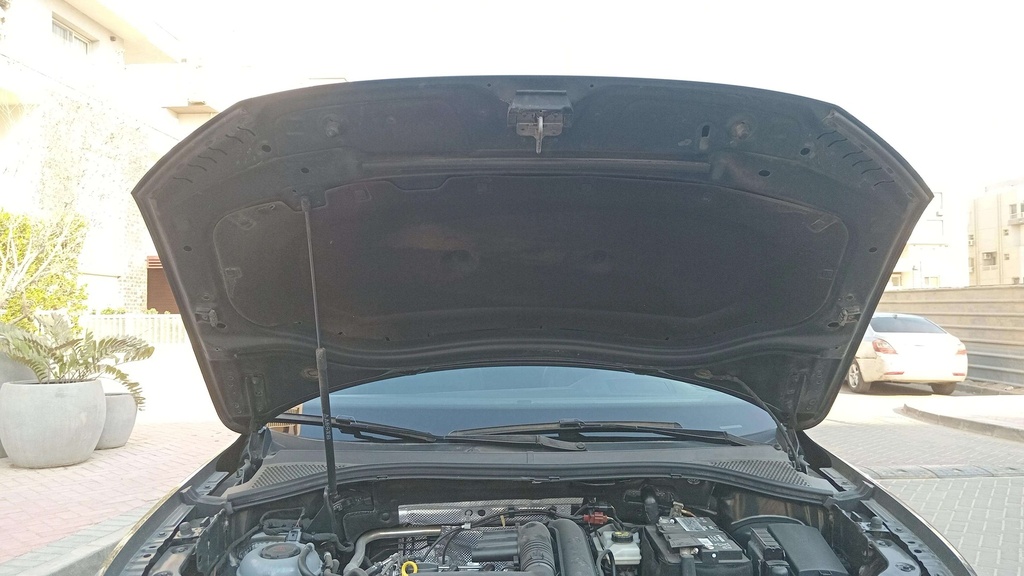 CAR HOOD