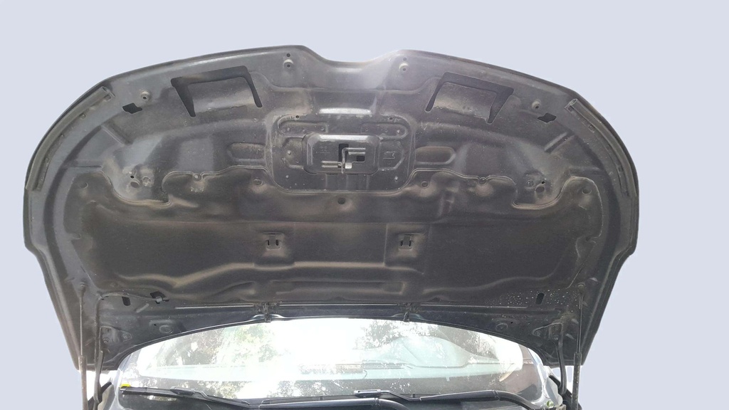 CAR HOOD