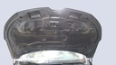 CAR HOOD