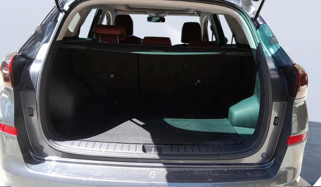 TRUNK