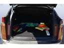 TRUNK
