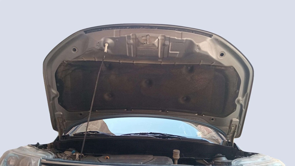 CAR HOOD