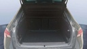 TRUNK