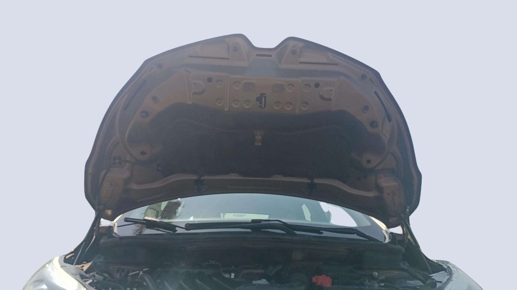 CAR HOOD