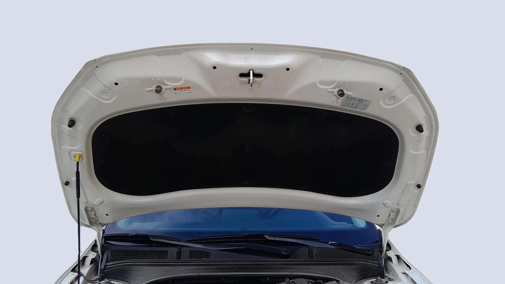 CAR HOOD