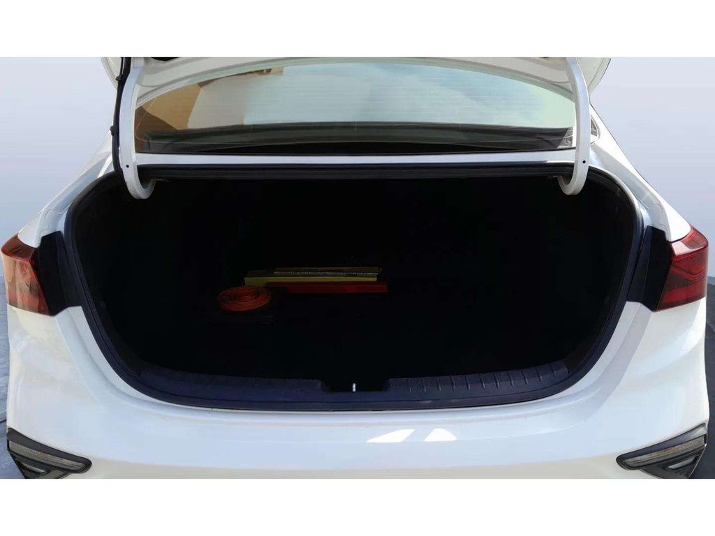 TRUNK
