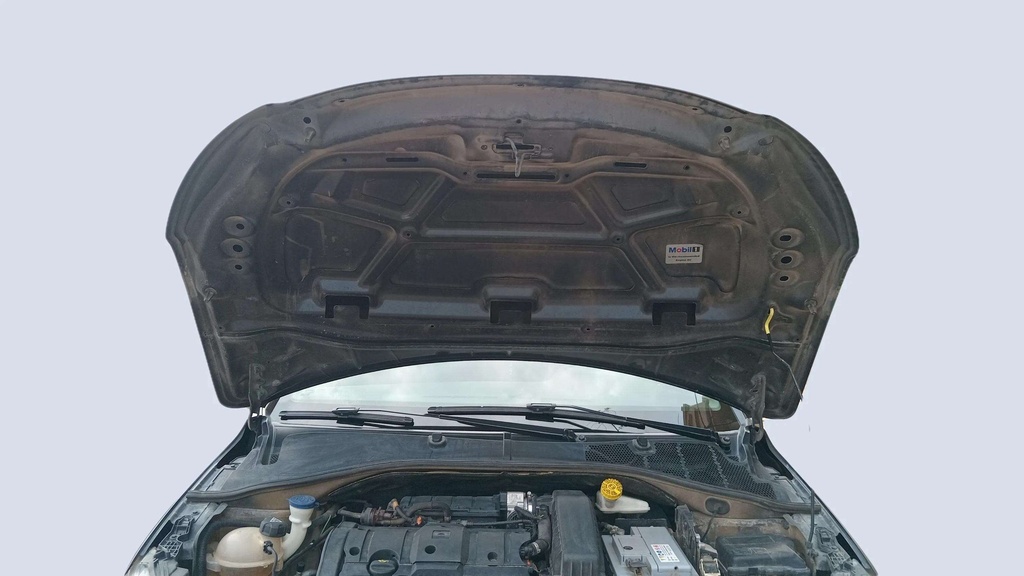 CAR HOOD
