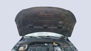 CAR HOOD