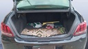 TRUNK
