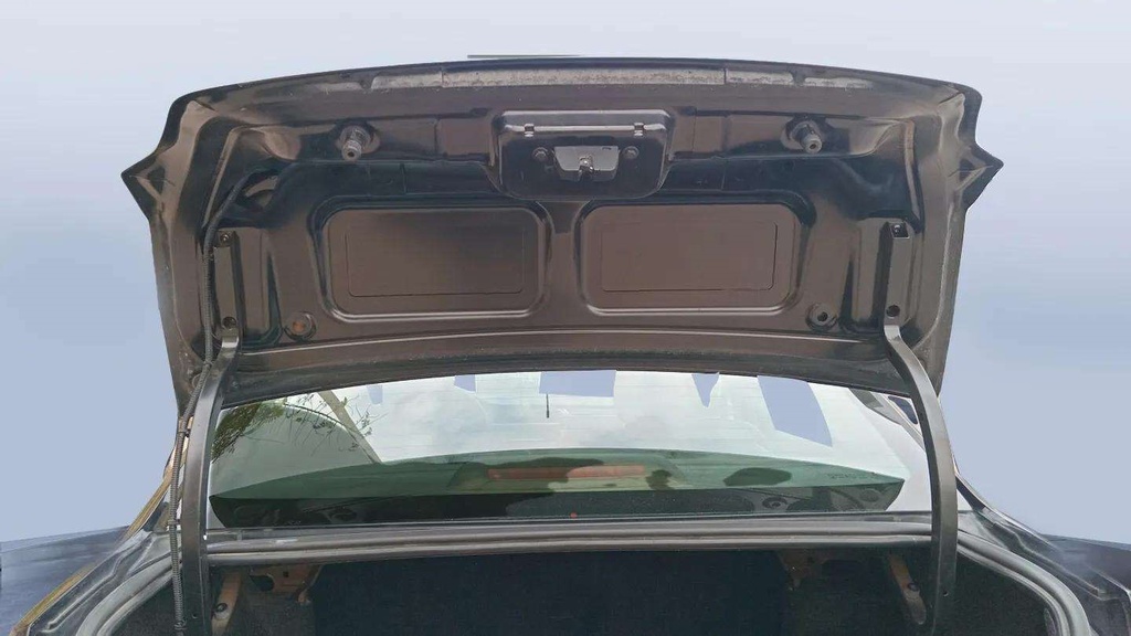 TRUNK HOOD