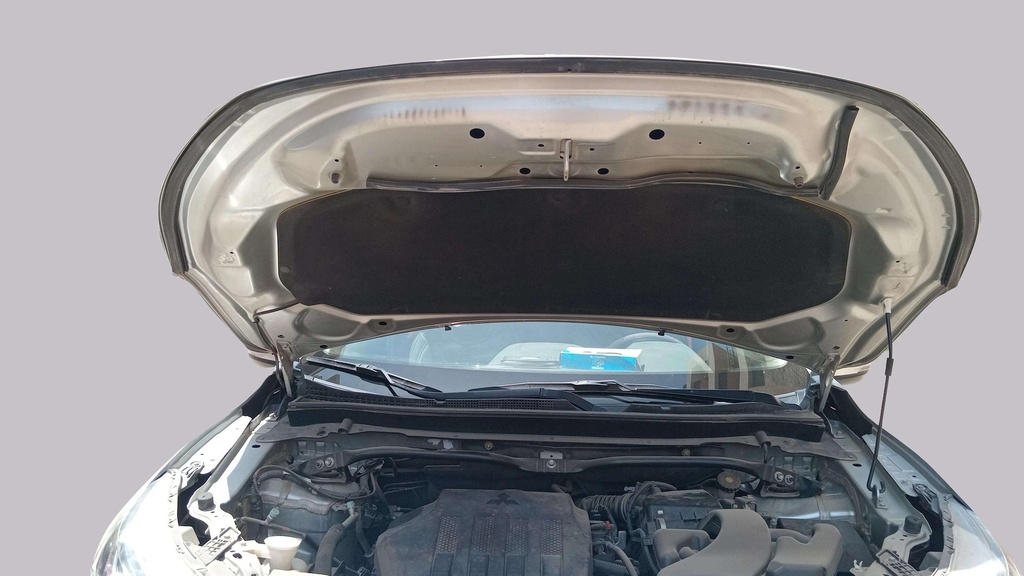 CAR HOOD