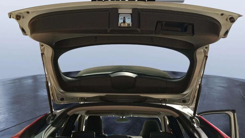 TRUNK HOOD