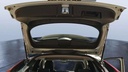 TRUNK HOOD