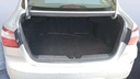 TRUNK