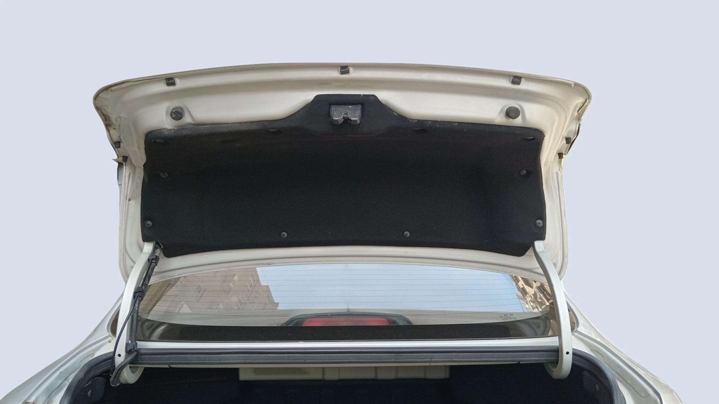 TRUNK HOOD