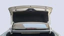 TRUNK HOOD