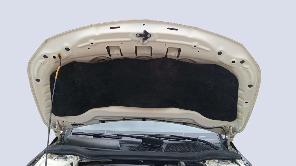 CAR HOOD