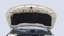 CAR HOOD