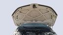 CAR HOOD