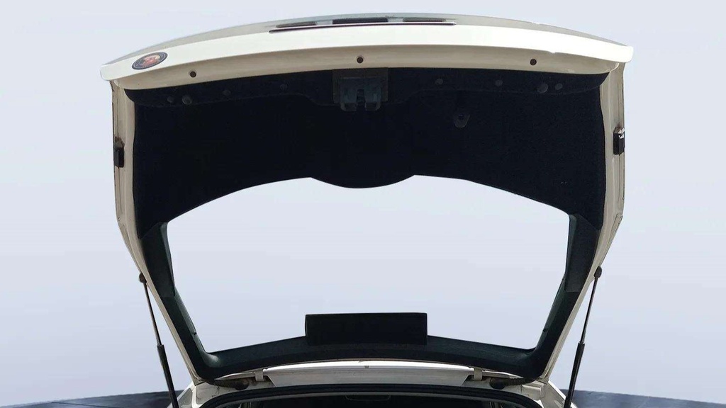 TRUNK HOOD