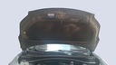 CAR HOOD