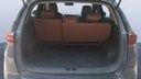 TRUNK