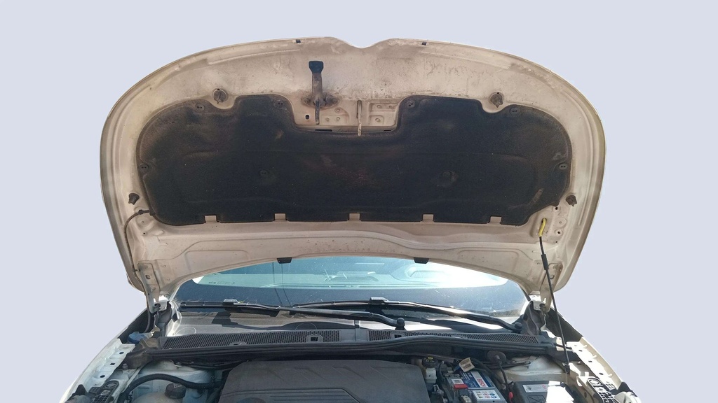 CAR HOOD